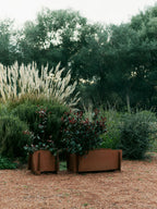 Lapel planter plantekasse