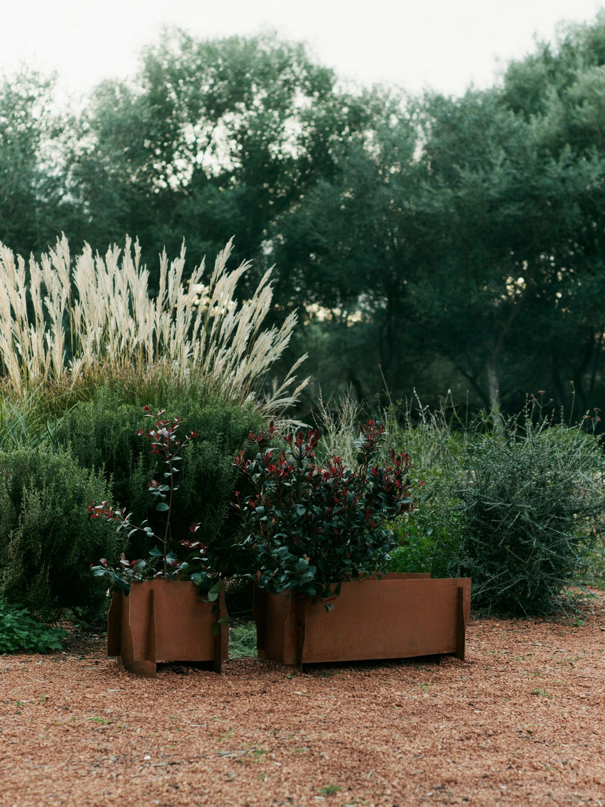 Lapel planter plantekasse
